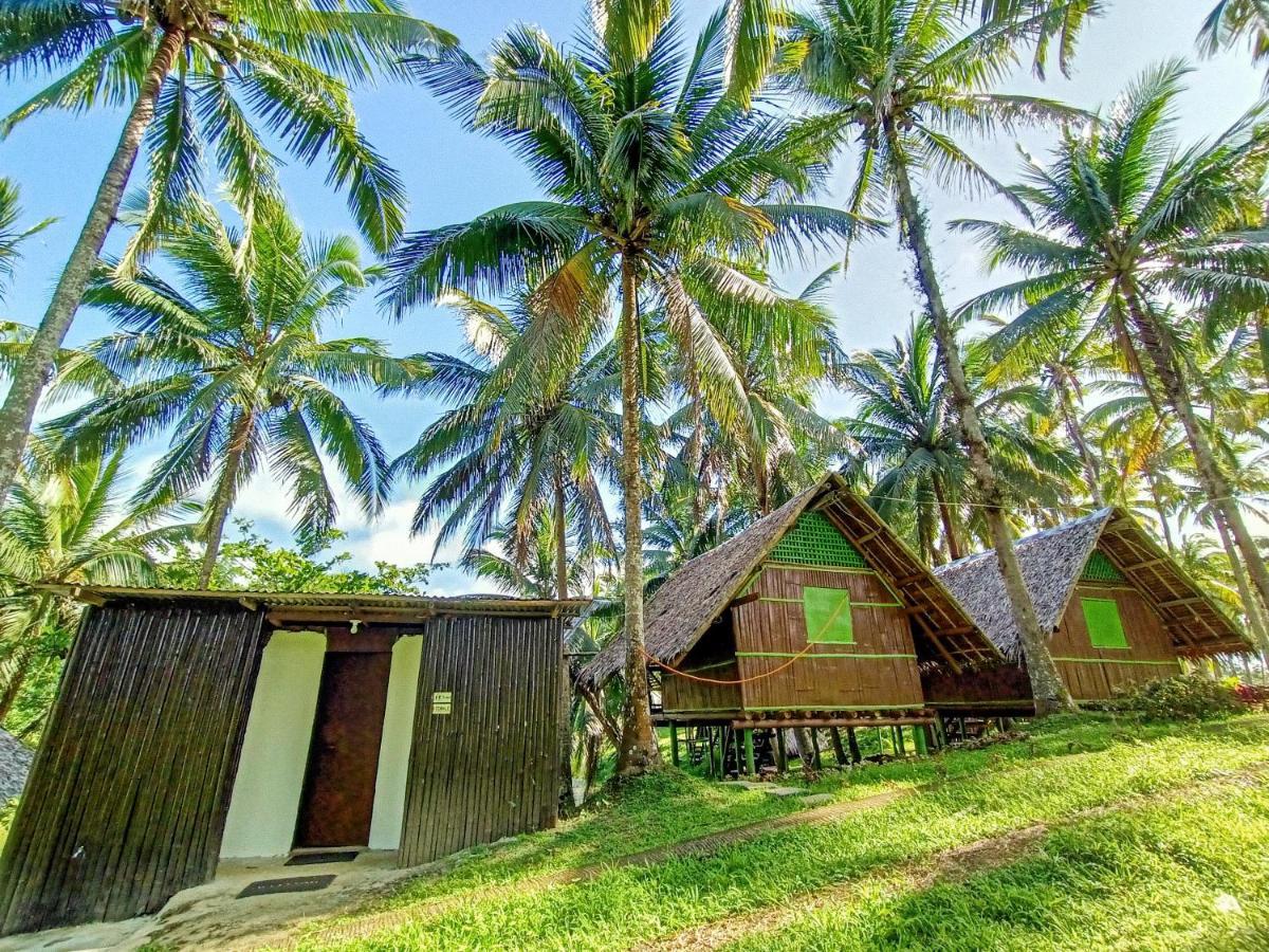 คาลิรายา อีโควิลล์ รีครีเอชั่น ฟาร์ม แอนด์ รีสอร์ต Hotel Cavinti ภายนอก รูปภาพ