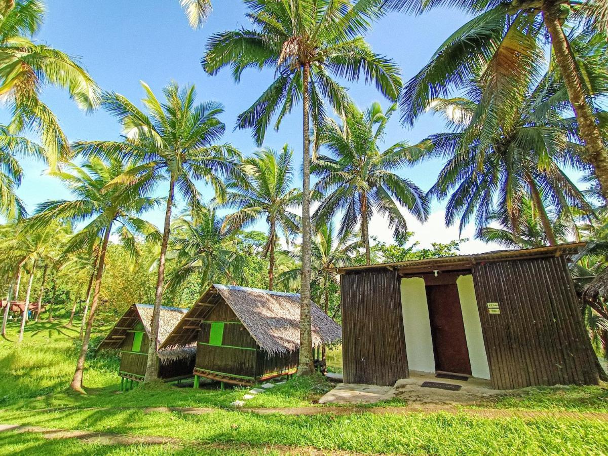 คาลิรายา อีโควิลล์ รีครีเอชั่น ฟาร์ม แอนด์ รีสอร์ต Hotel Cavinti ภายนอก รูปภาพ