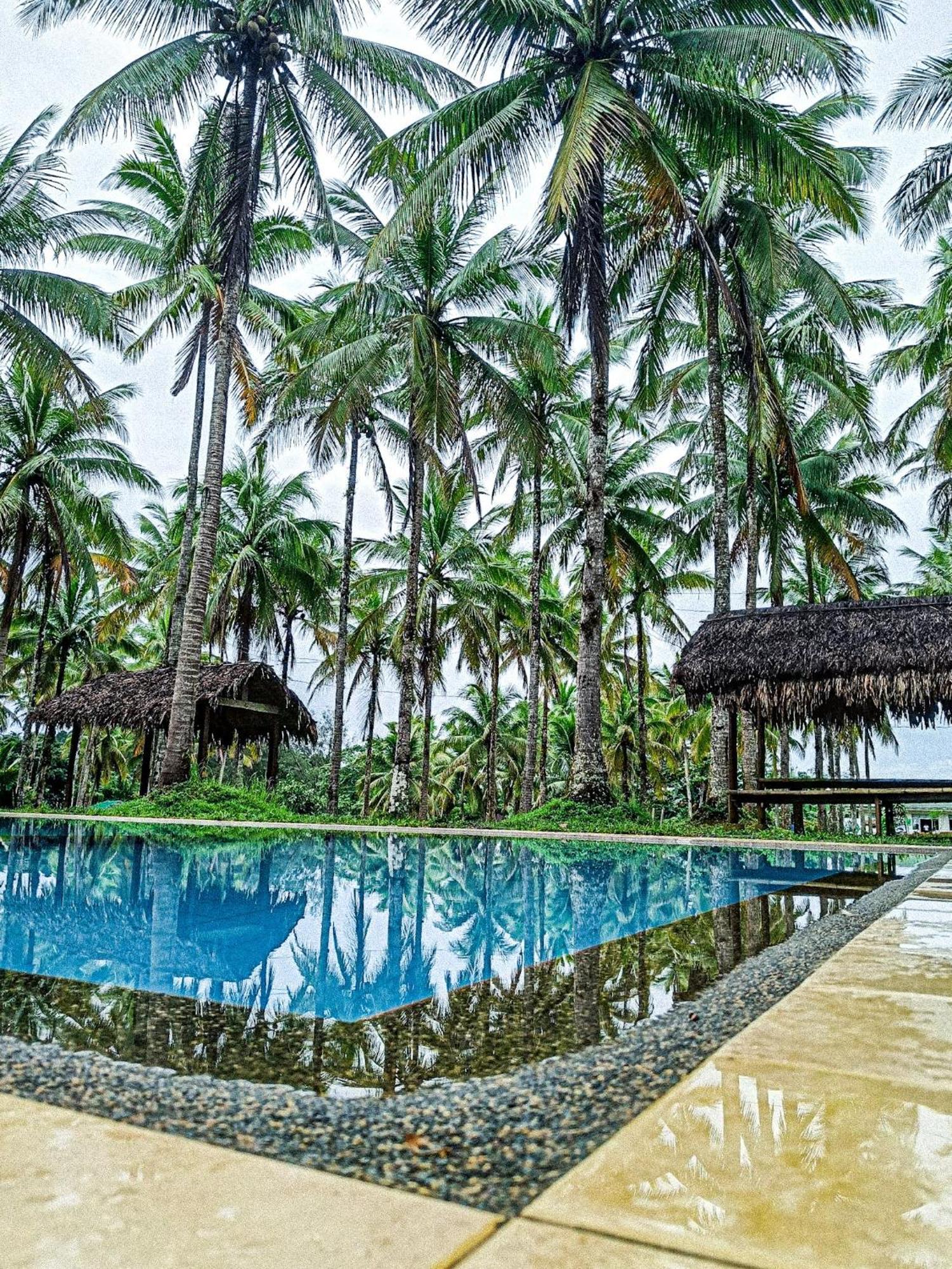 คาลิรายา อีโควิลล์ รีครีเอชั่น ฟาร์ม แอนด์ รีสอร์ต Hotel Cavinti ภายนอก รูปภาพ