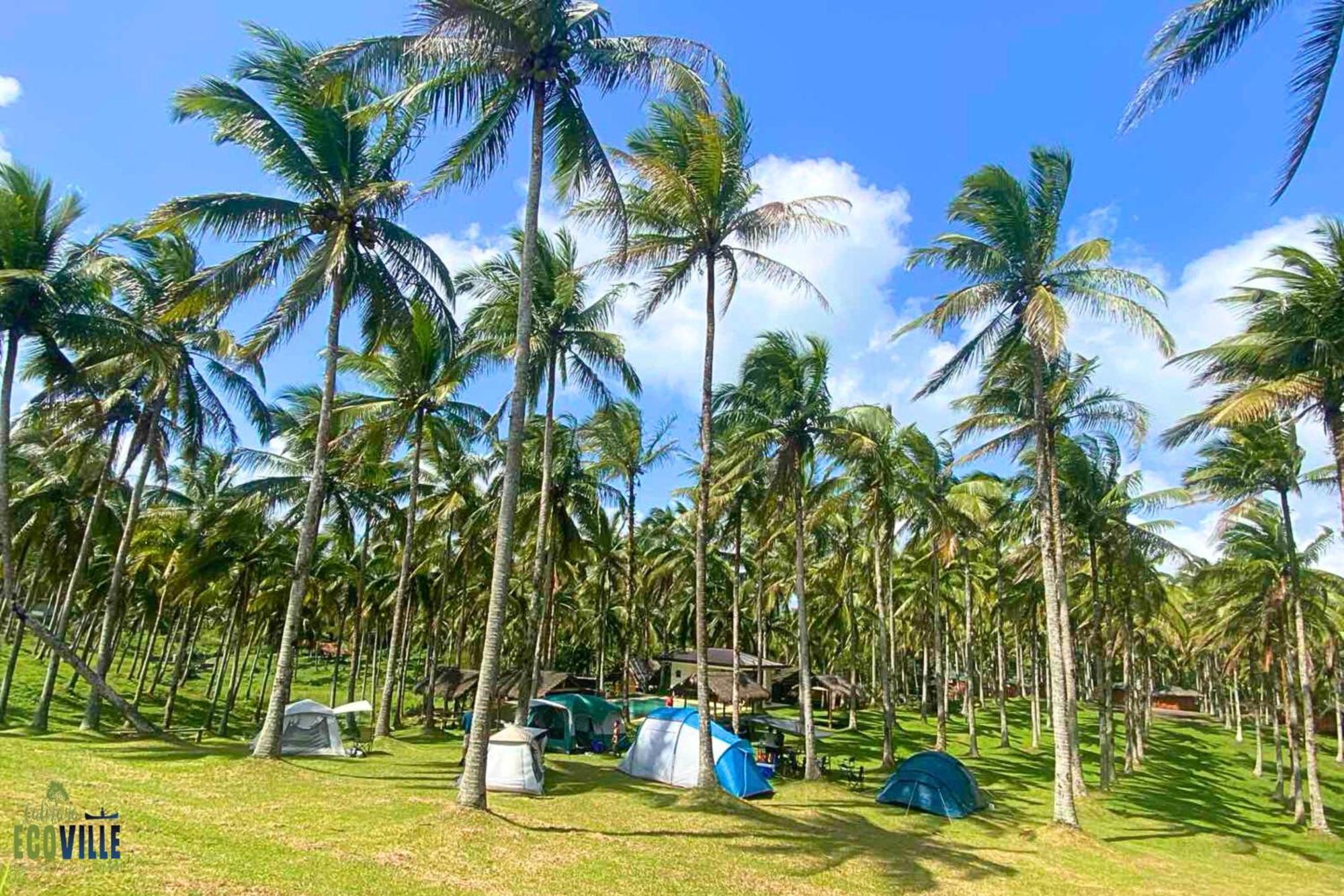 คาลิรายา อีโควิลล์ รีครีเอชั่น ฟาร์ม แอนด์ รีสอร์ต Hotel Cavinti ภายนอก รูปภาพ
